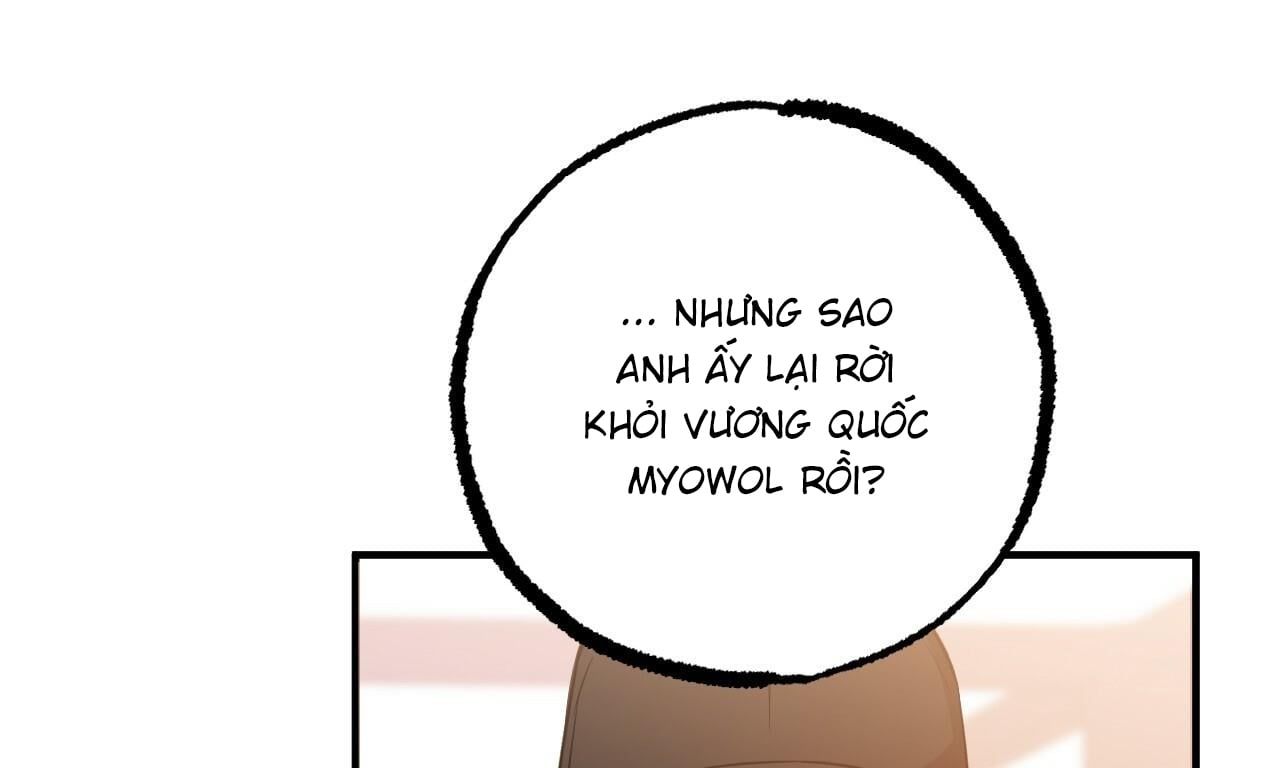 đọc truyện Những Chú Thỏ Của Hapypy Chương 56 ảnh 272 tại Giả Dược