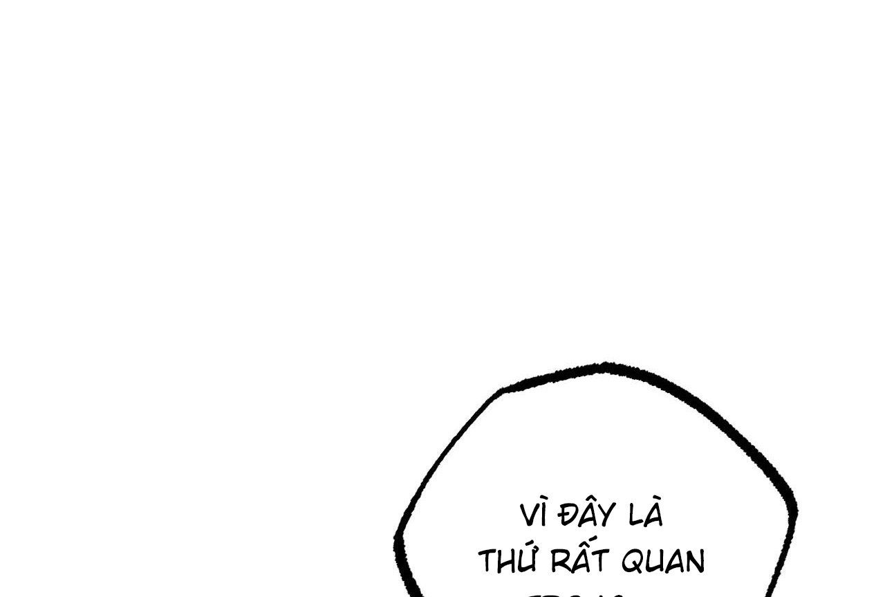 đọc truyện Những Chú Thỏ Của Hapypy Chương 57 ảnh 184 tại Giả Dược