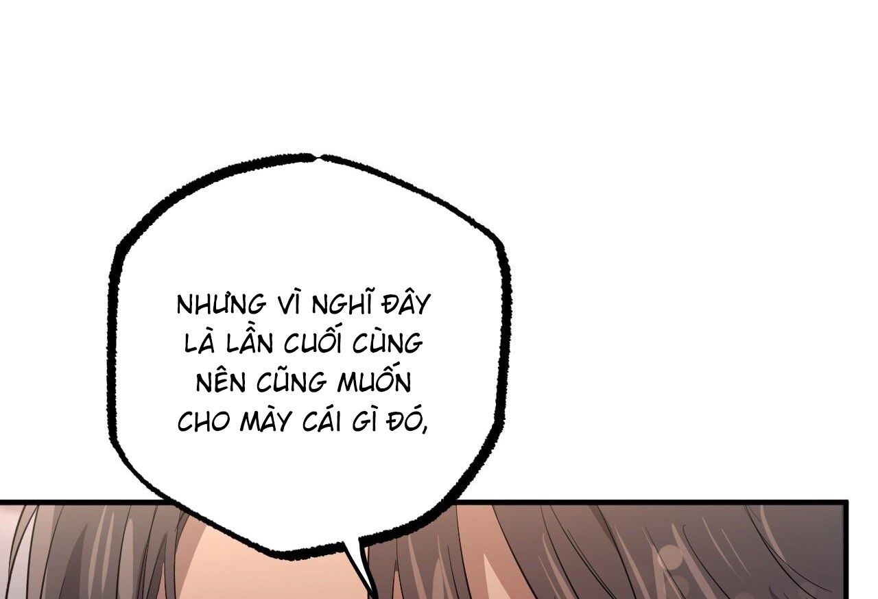 đọc truyện Những Chú Thỏ Của Hapypy Chương 57 ảnh 23 tại Giả Dược