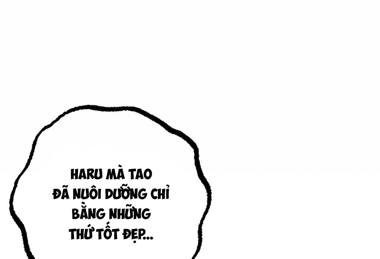 đọc truyện Những Chú Thỏ Của Hapypy Chương 57 ảnh 238 tại Giả Dược