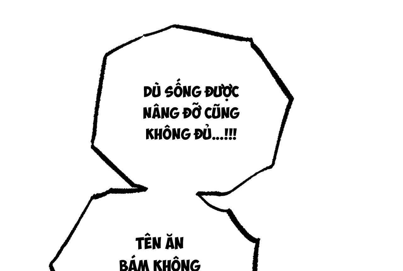đọc truyện Những Chú Thỏ Của Hapypy Chương 58 ảnh 123 tại Giả Dược