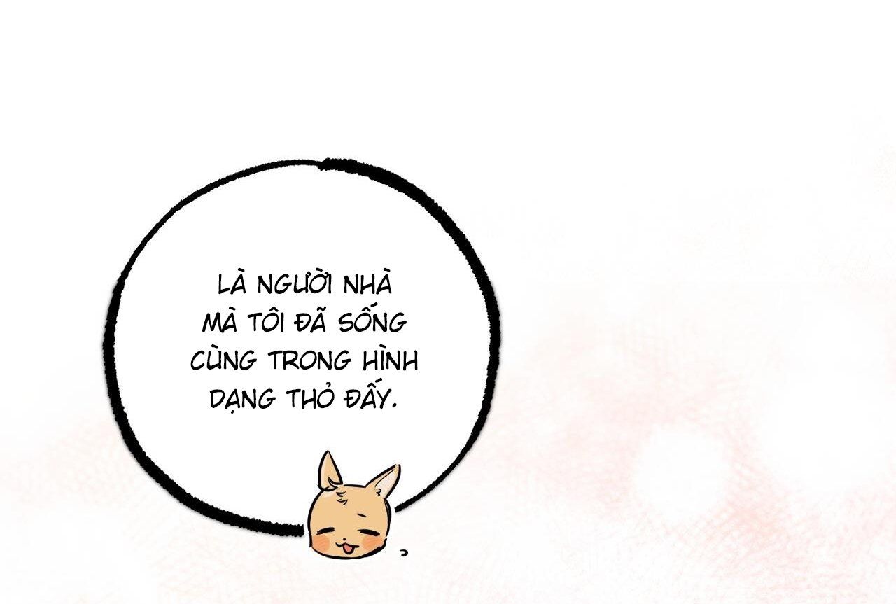đọc truyện Những Chú Thỏ Của Hapypy Chương 58 ảnh 40 tại Giả Dược
