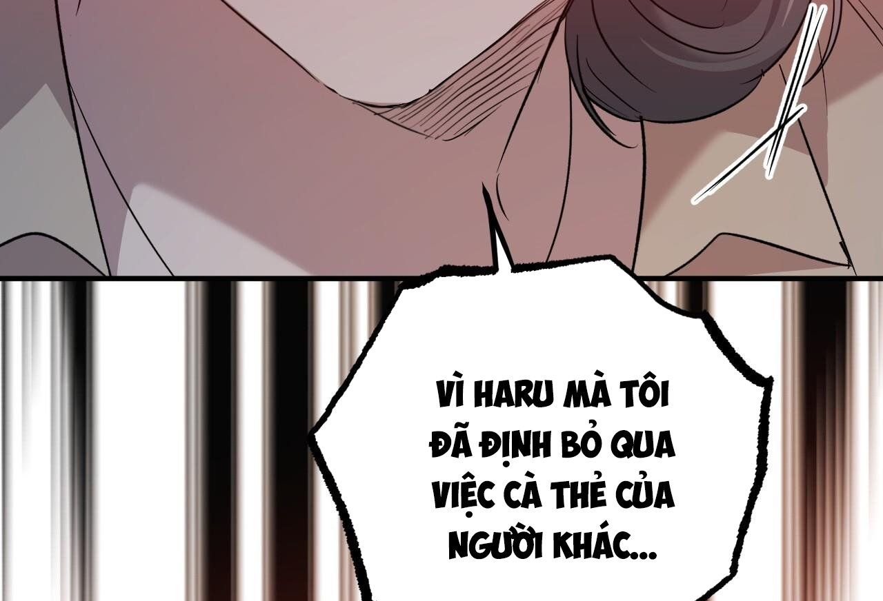 đọc truyện Những Chú Thỏ Của Hapypy Chương 58 ảnh 81 tại Giả Dược
