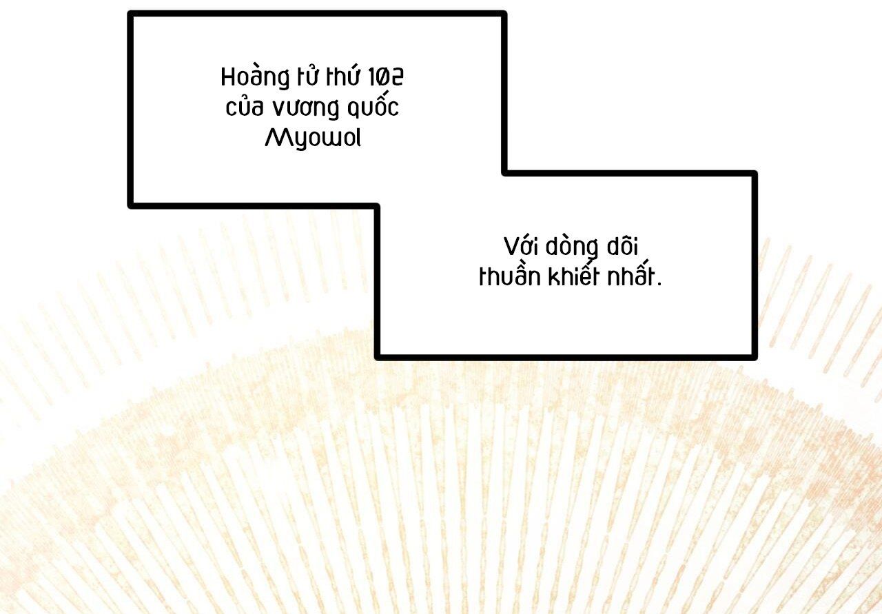 đọc truyện Những Chú Thỏ Của Hapypy Chương 59 ảnh 17 tại Giả Dược