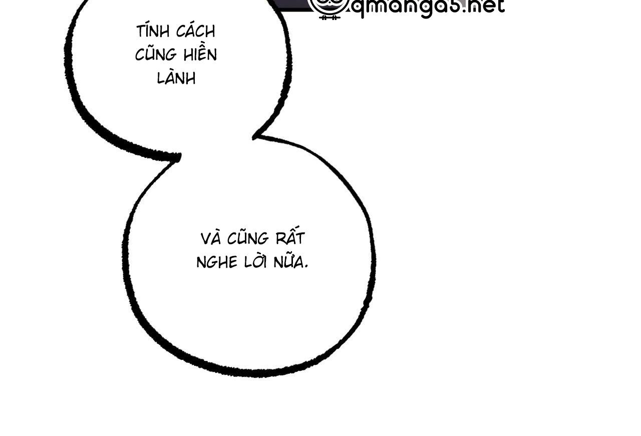 đọc truyện Những Chú Thỏ Của Hapypy Chương 59 ảnh 177 tại Giả Dược