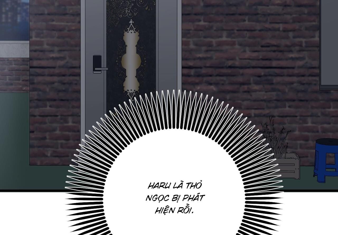 đọc truyện Những Chú Thỏ Của Hapypy Chương 59 ảnh 211 tại Giả Dược