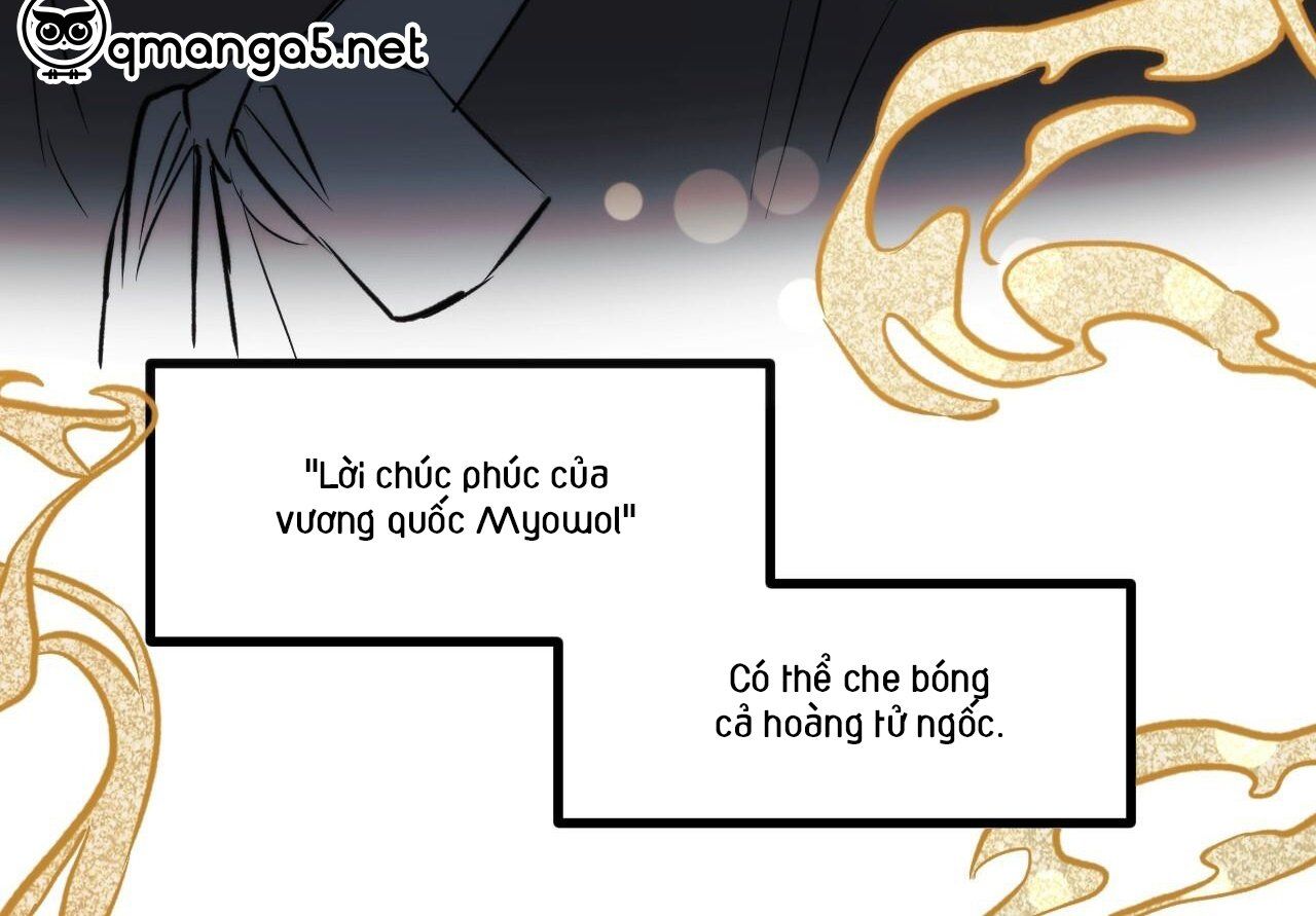 đọc truyện Những Chú Thỏ Của Hapypy Chương 59 ảnh 26 tại Giả Dược