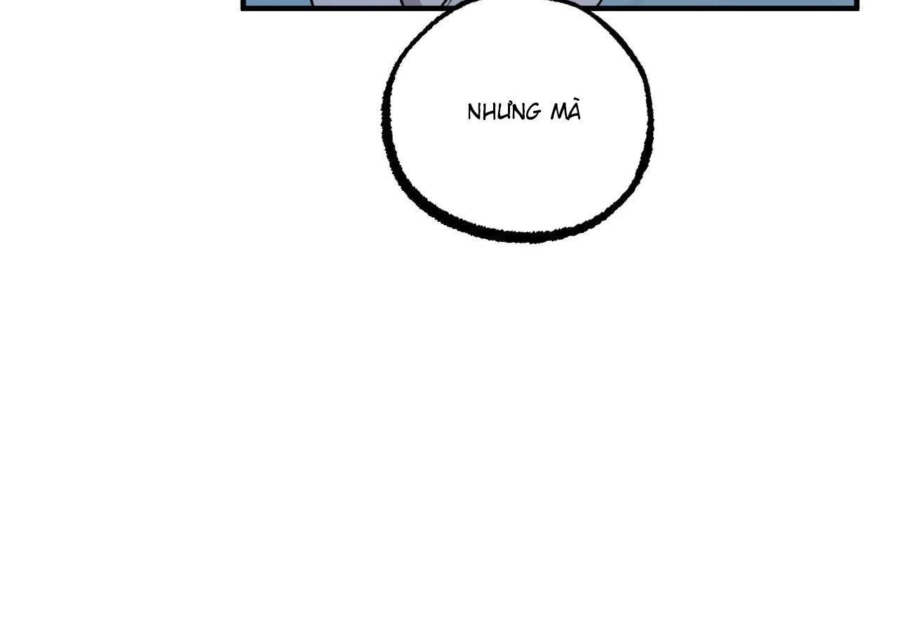 đọc truyện Những Chú Thỏ Của Hapypy Chương 59 ảnh 63 tại Giả Dược