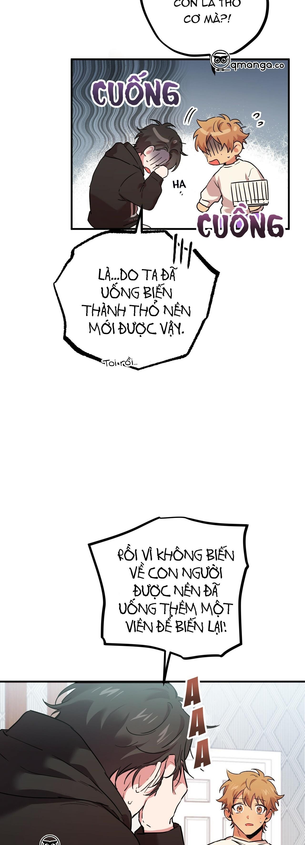 đọc truyện Những Chú Thỏ Của Hapypy Chương 6 ảnh 52 tại Giả Dược