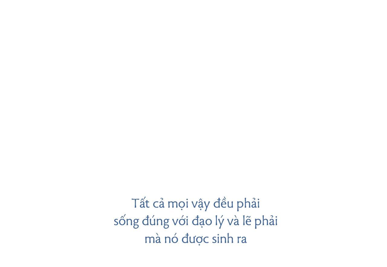 đọc truyện Những Chú Thỏ Của Hapypy Chương 60 ảnh 25 tại Giả Dược