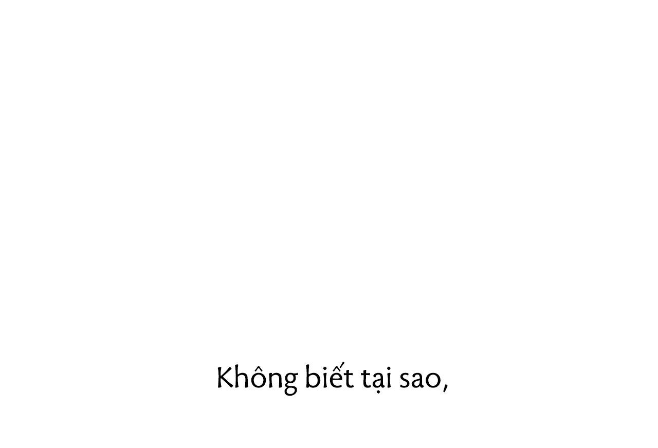 đọc truyện Những Chú Thỏ Của Hapypy Chương 61 ảnh 139 tại Giả Dược