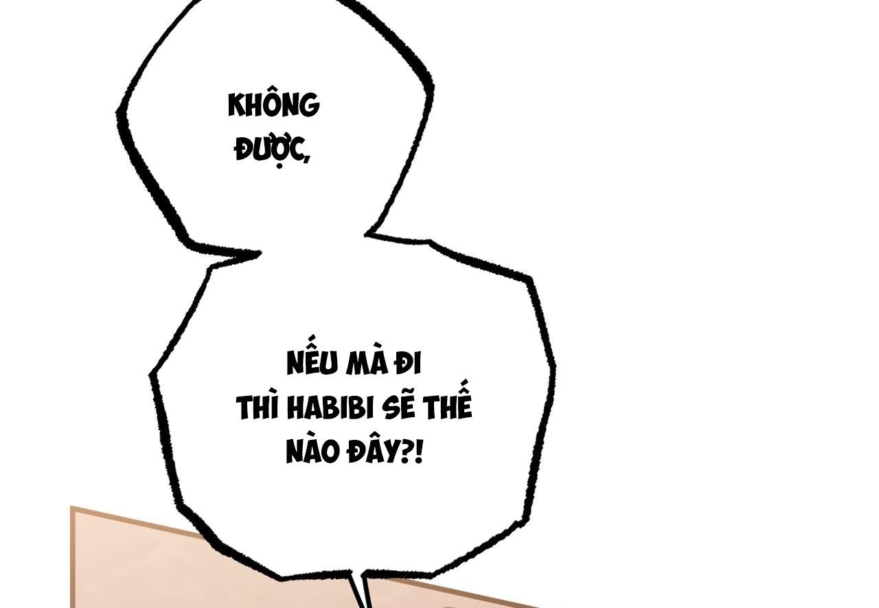 đọc truyện Những Chú Thỏ Của Hapypy Chương 62 ảnh 173 tại Giả Dược