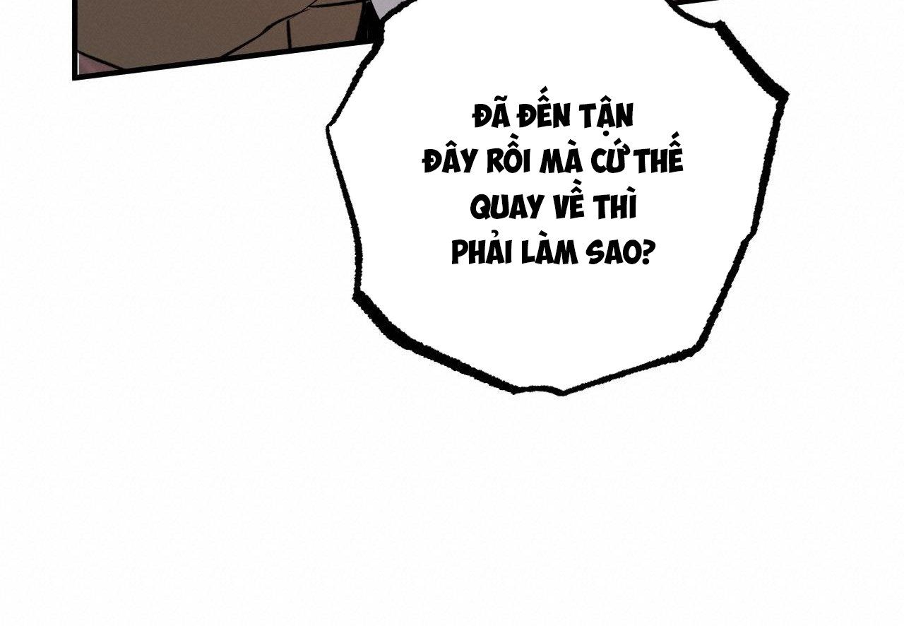 đọc truyện Những Chú Thỏ Của Hapypy Chương 62 ảnh 176 tại Giả Dược