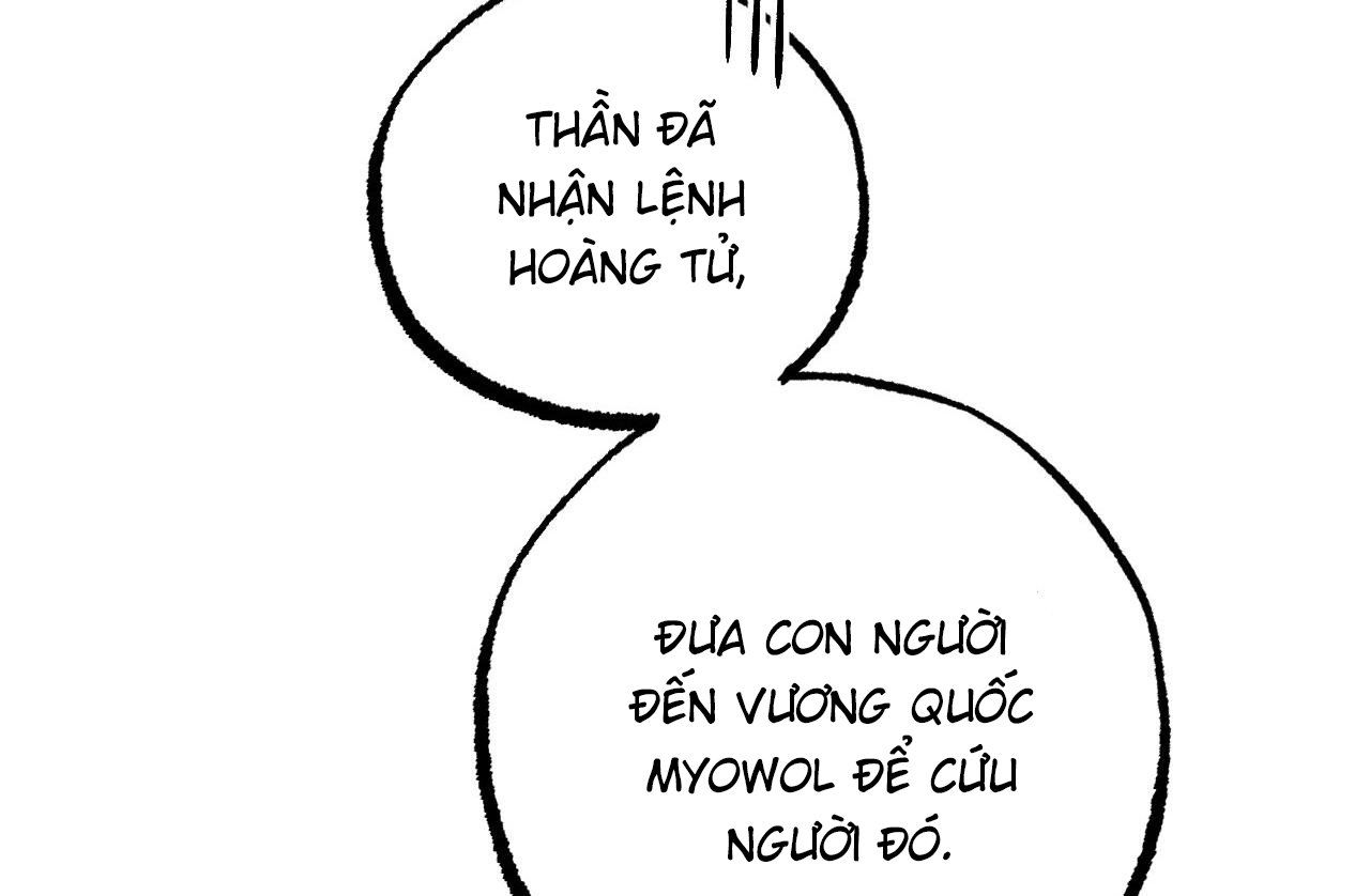 đọc truyện Những Chú Thỏ Của Hapypy Chương 62 ảnh 67 tại Giả Dược
