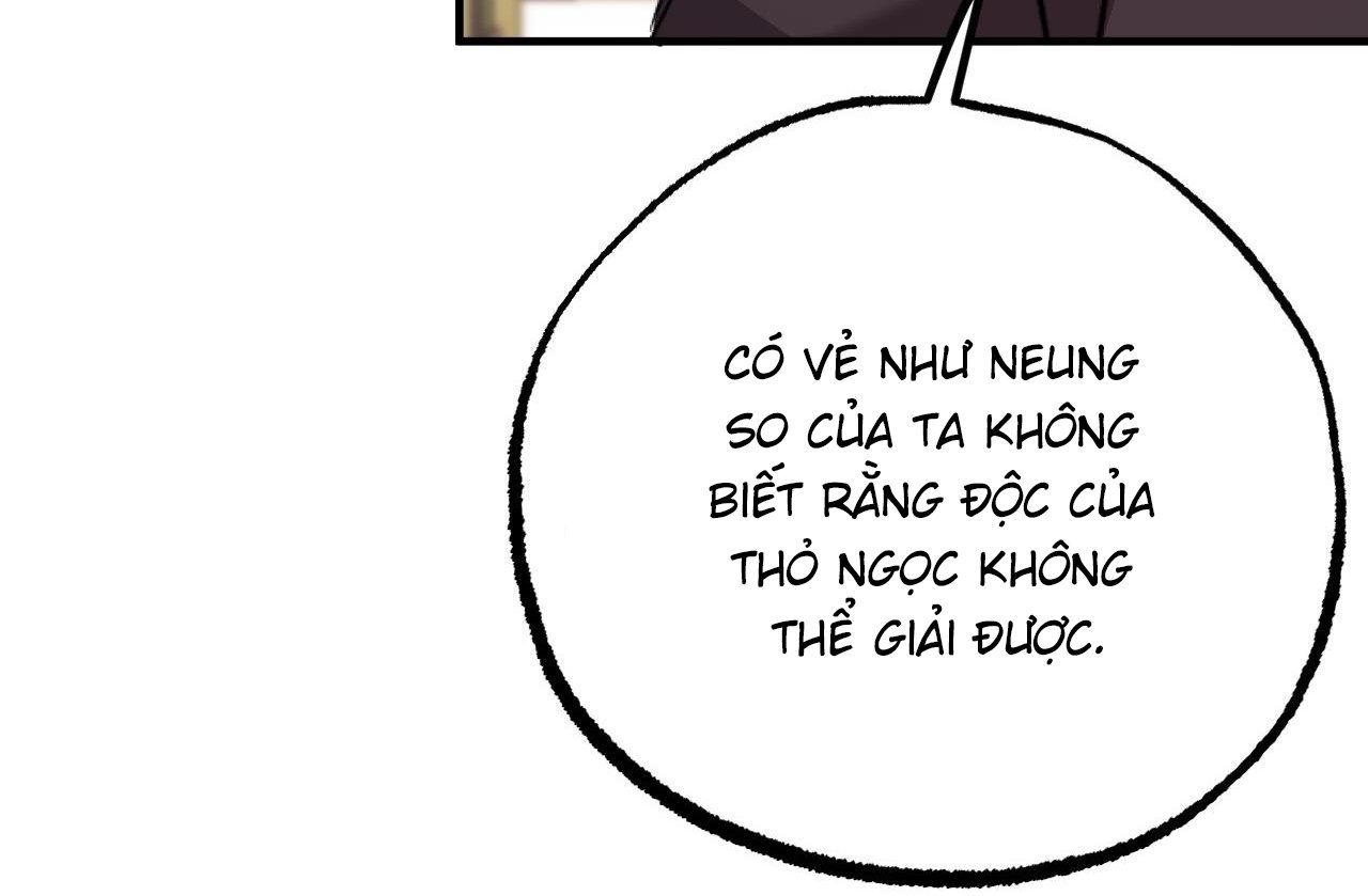 đọc truyện Những Chú Thỏ Của Hapypy Chương 62 ảnh 73 tại Giả Dược