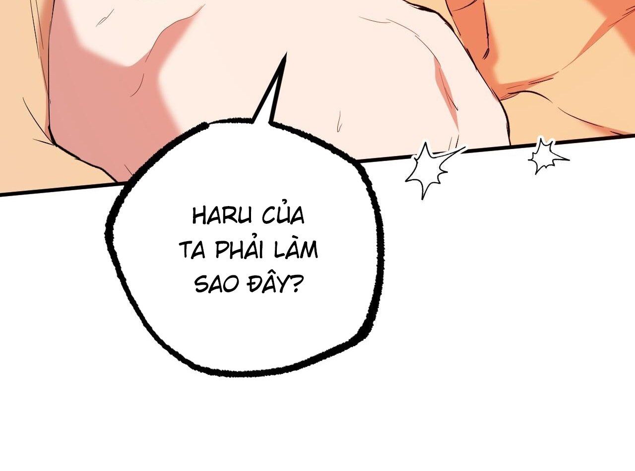 đọc truyện Những Chú Thỏ Của Hapypy Chương 63 ảnh 227 tại Giả Dược