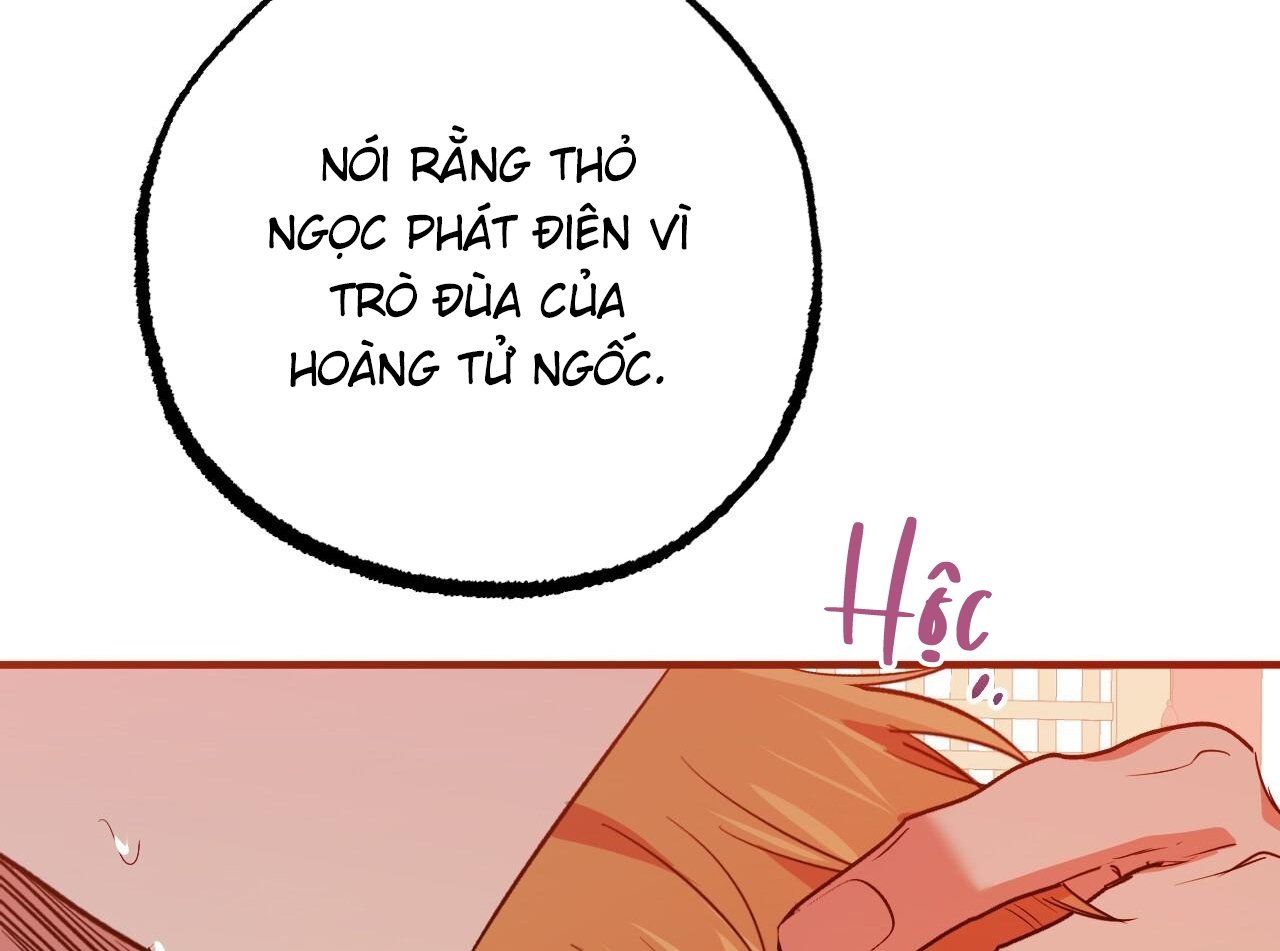 đọc truyện Những Chú Thỏ Của Hapypy Chương 63 ảnh 233 tại Giả Dược