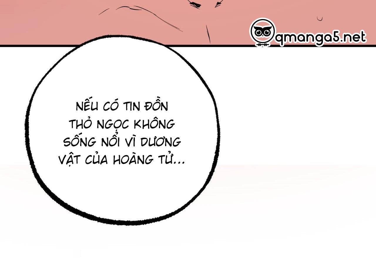 đọc truyện Những Chú Thỏ Của Hapypy Chương 63 ảnh 258 tại Giả Dược
