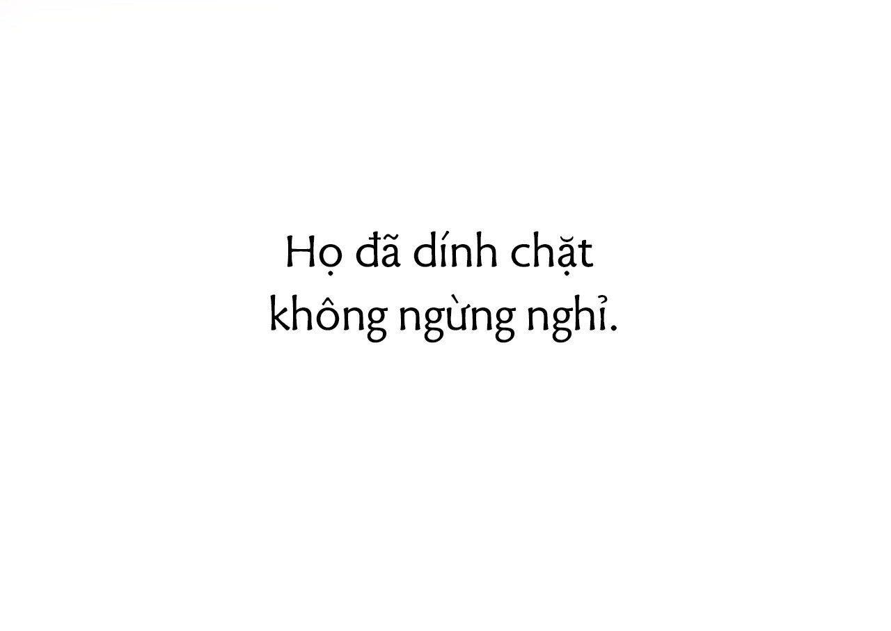 đọc truyện Những Chú Thỏ Của Hapypy Chương 63 ảnh 266 tại Giả Dược