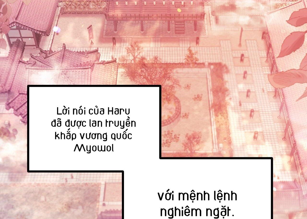đọc truyện Những Chú Thỏ Của Hapypy Chương 63 ảnh 76 tại Giả Dược