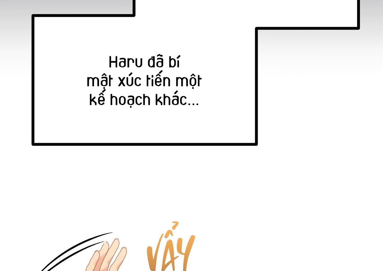 đọc truyện Những Chú Thỏ Của Hapypy Chương 63 ảnh 94 tại Giả Dược