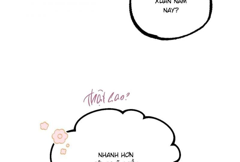 đọc truyện Những Chú Thỏ Của Hapypy Chương 64.5 ảnh 113 tại Giả Dược