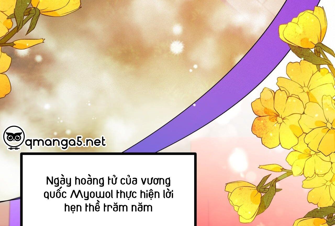 đọc truyện Những Chú Thỏ Của Hapypy Chương 65 ảnh 121 tại Giả Dược