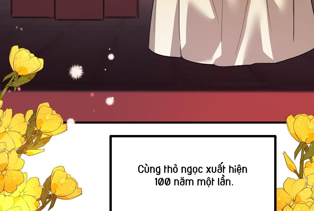 đọc truyện Những Chú Thỏ Của Hapypy Chương 65 ảnh 124 tại Giả Dược