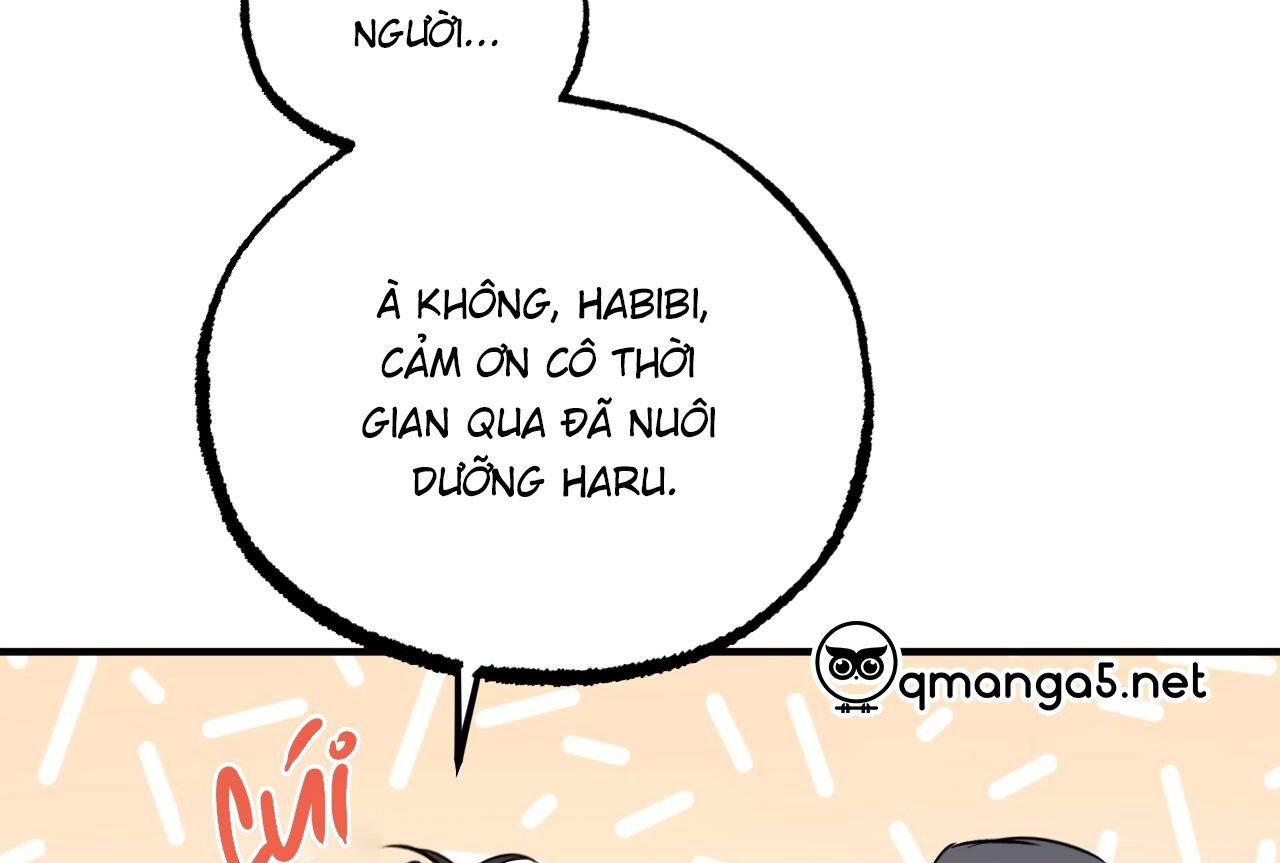 đọc truyện Những Chú Thỏ Của Hapypy Chương 65 ảnh 144 tại Giả Dược