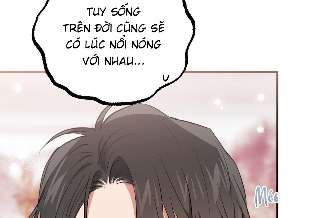 đọc truyện Những Chú Thỏ Của Hapypy Chương 65 ảnh 167 tại Giả Dược
