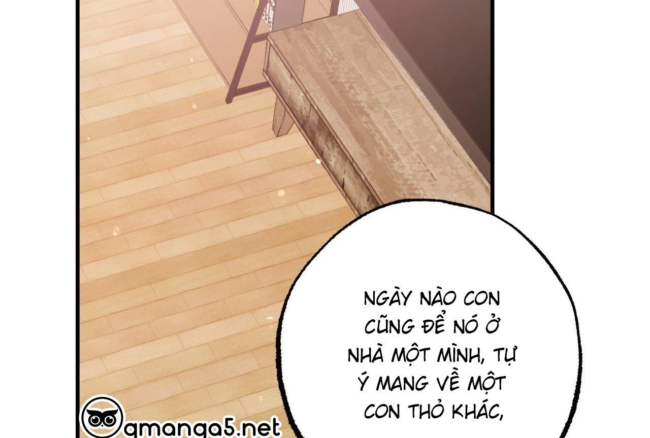 đọc truyện Những Chú Thỏ Của Hapypy Chương 65 ảnh 37 tại Giả Dược