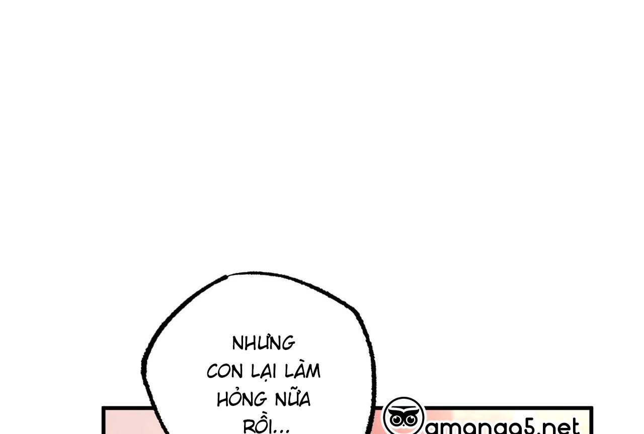 đọc truyện Những Chú Thỏ Của Hapypy Chương 65 ảnh 42 tại Giả Dược