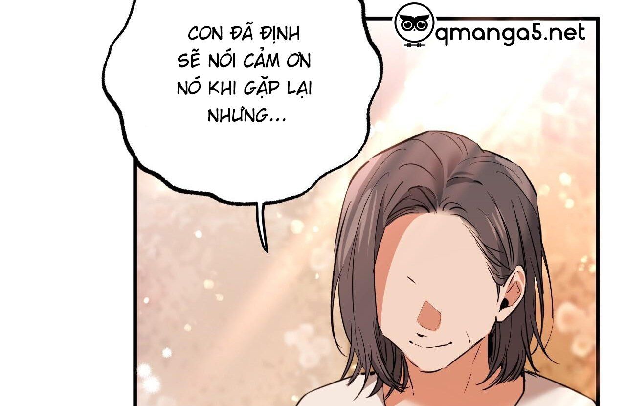 đọc truyện Những Chú Thỏ Của Hapypy Chương 65 ảnh 54 tại Giả Dược