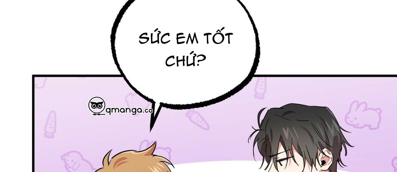 đọc truyện Những Chú Thỏ Của Hapypy Chương 7 ảnh 100 tại Giả Dược