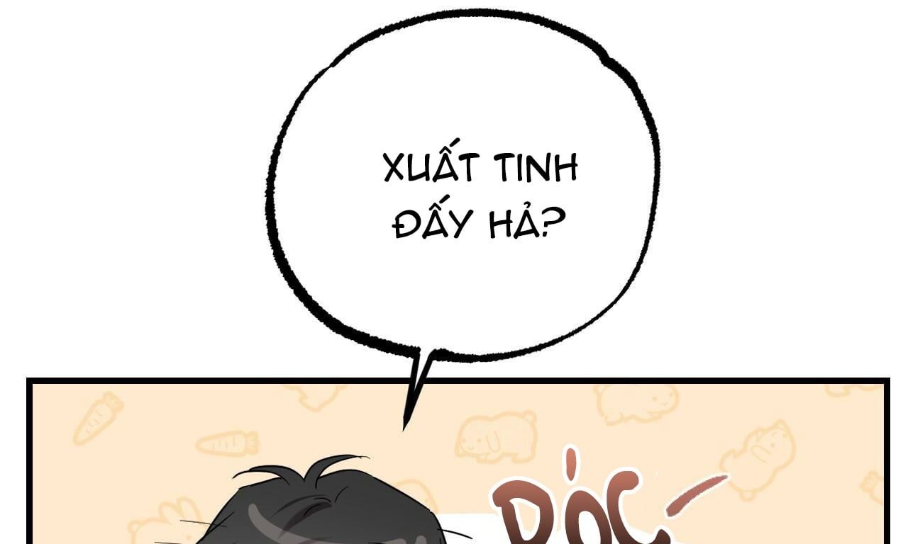 đọc truyện Những Chú Thỏ Của Hapypy Chương 8 ảnh 105 tại Giả Dược