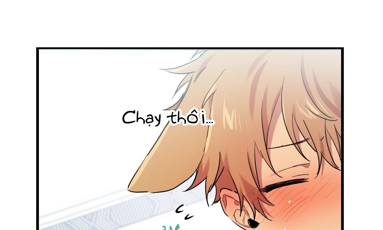 đọc truyện Những Chú Thỏ Của Hapypy Chương 8 ảnh 119 tại Giả Dược