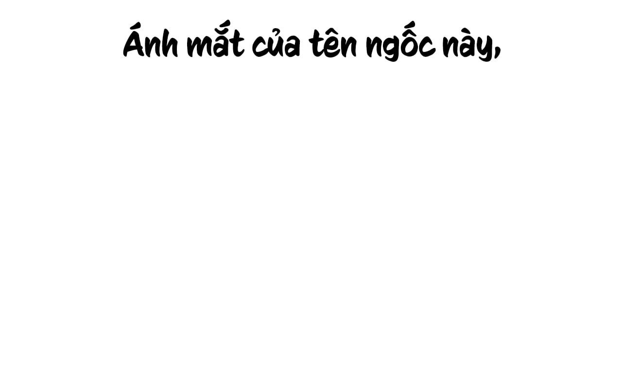đọc truyện Những Chú Thỏ Của Hapypy Chương 8 ảnh 13 tại Giả Dược
