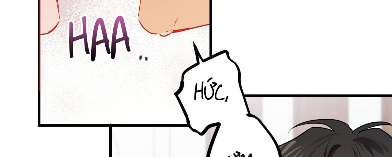đọc truyện Những Chú Thỏ Của Hapypy Chương 8 ảnh 184 tại Giả Dược