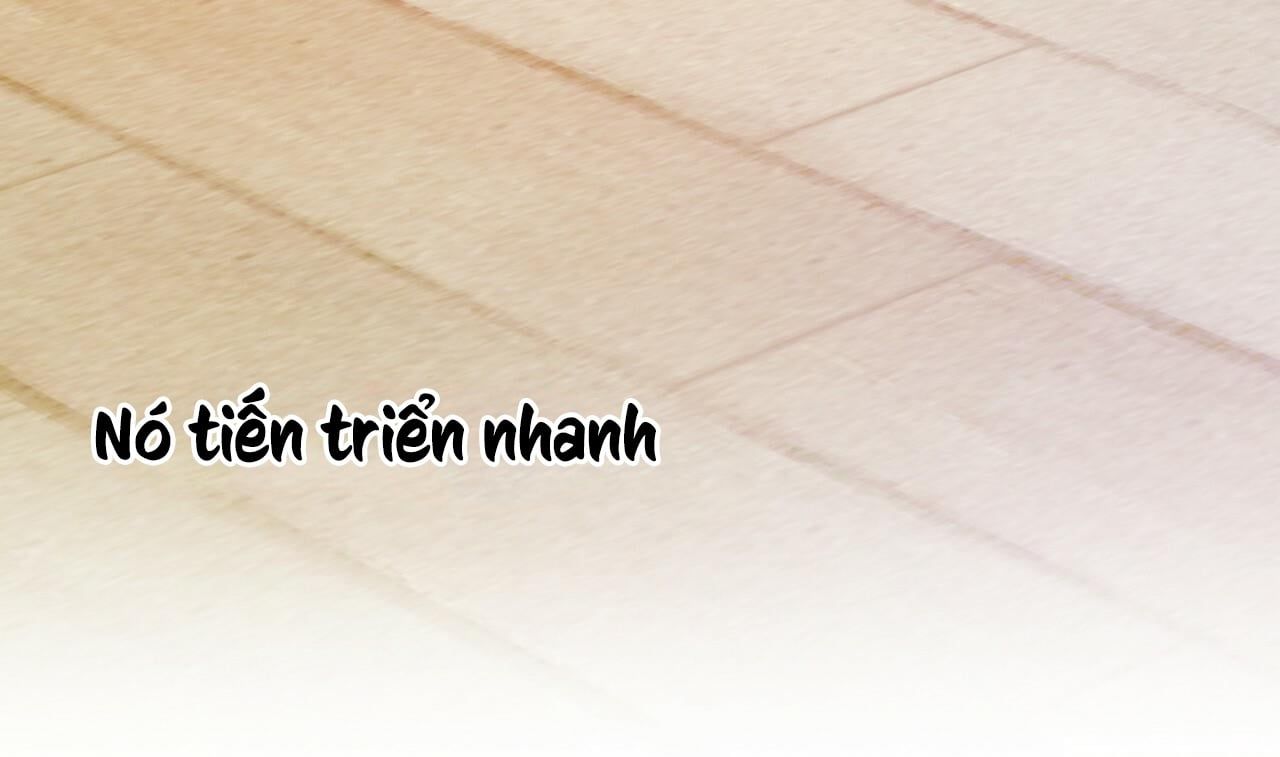 đọc truyện Những Chú Thỏ Của Hapypy Chương 8 ảnh 223 tại Giả Dược