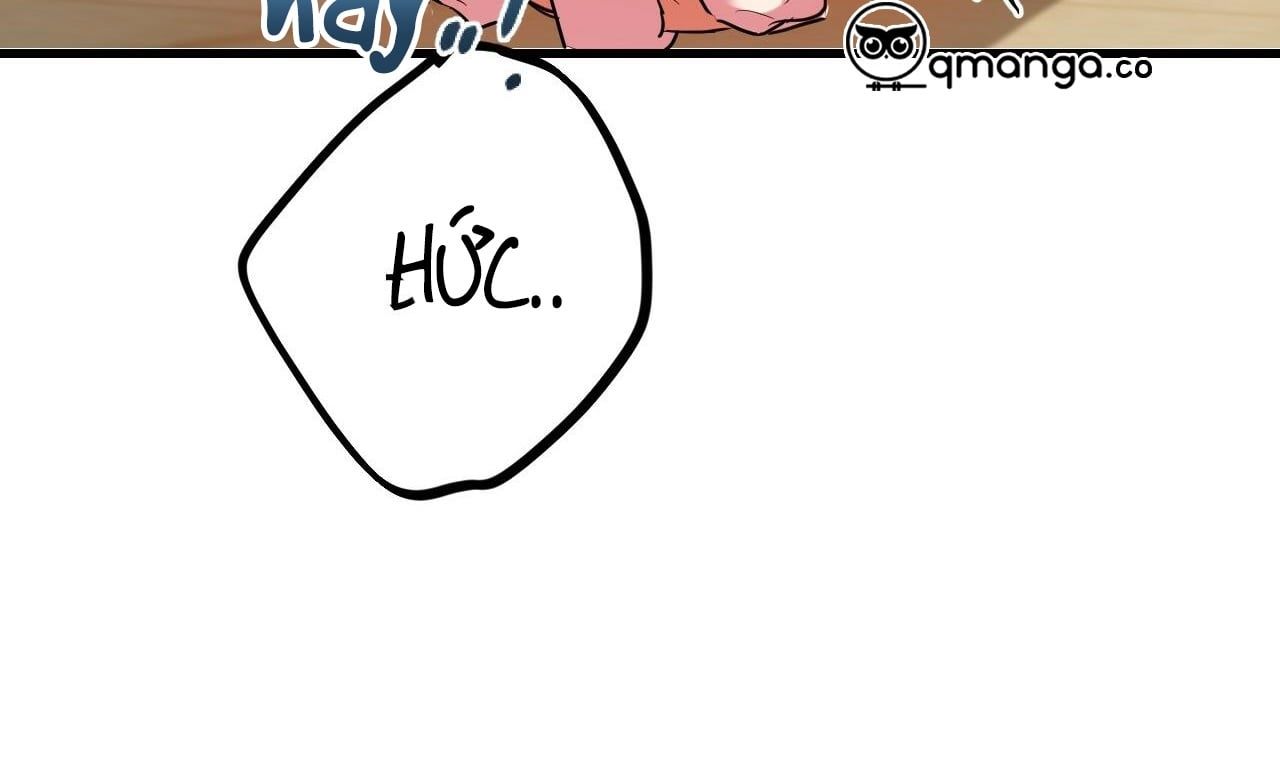 đọc truyện Những Chú Thỏ Của Hapypy Chương 8 ảnh 279 tại Giả Dược