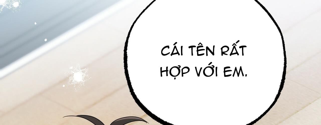 đọc truyện Những Chú Thỏ Của Hapypy Chương 8 ảnh 46 tại Giả Dược
