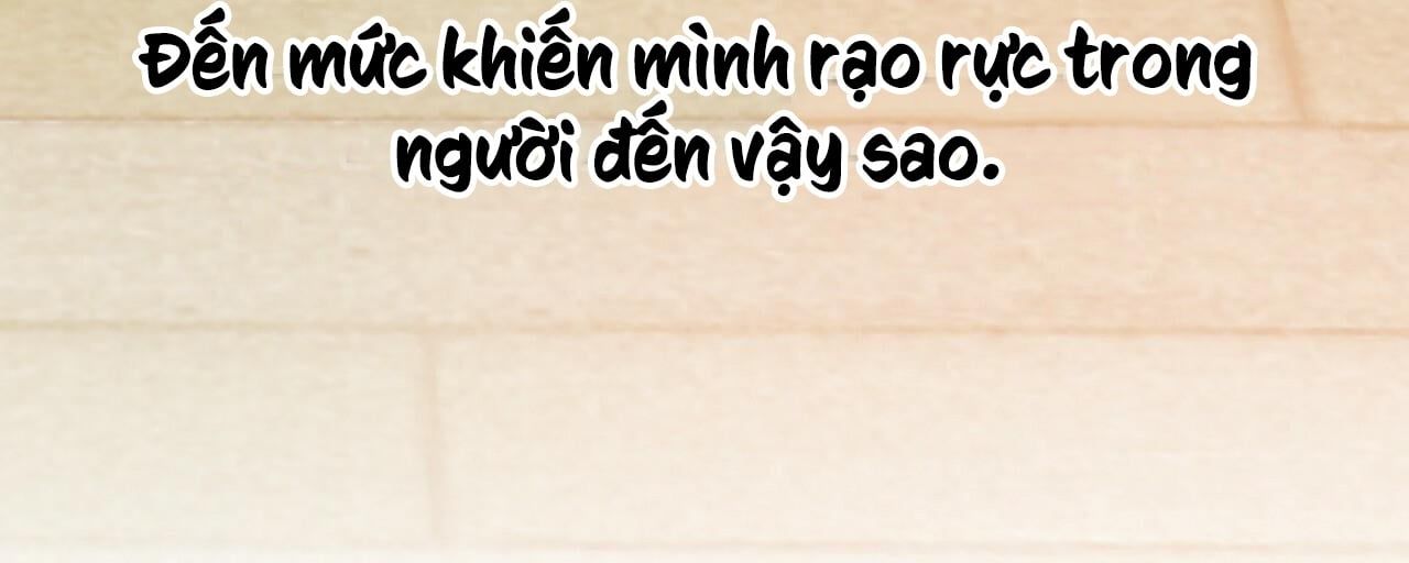 đọc truyện Những Chú Thỏ Của Hapypy Chương 8 ảnh 77 tại Giả Dược