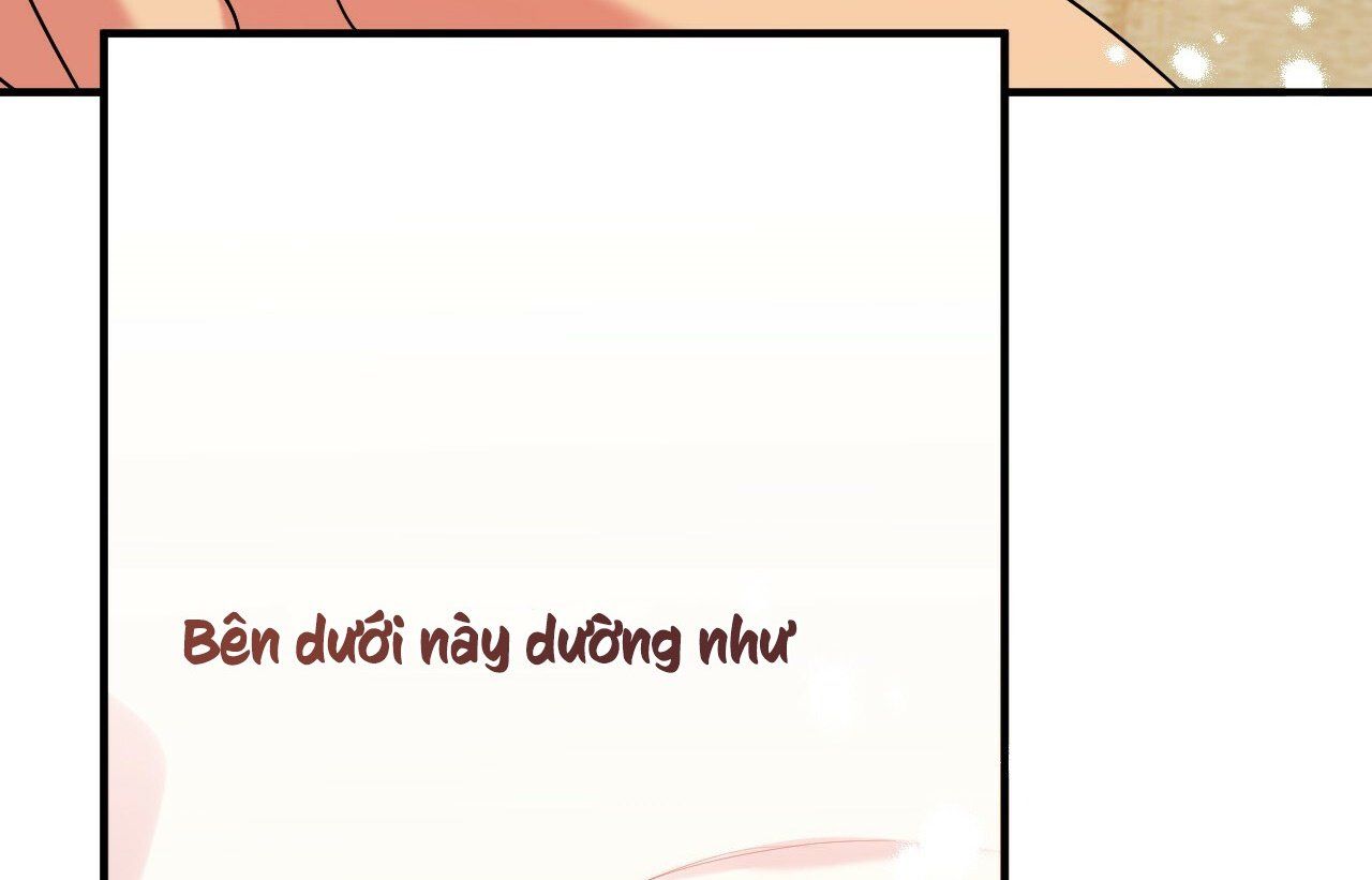 đọc truyện Những Chú Thỏ Của Hapypy Chương 9 ảnh 199 tại Giả Dược