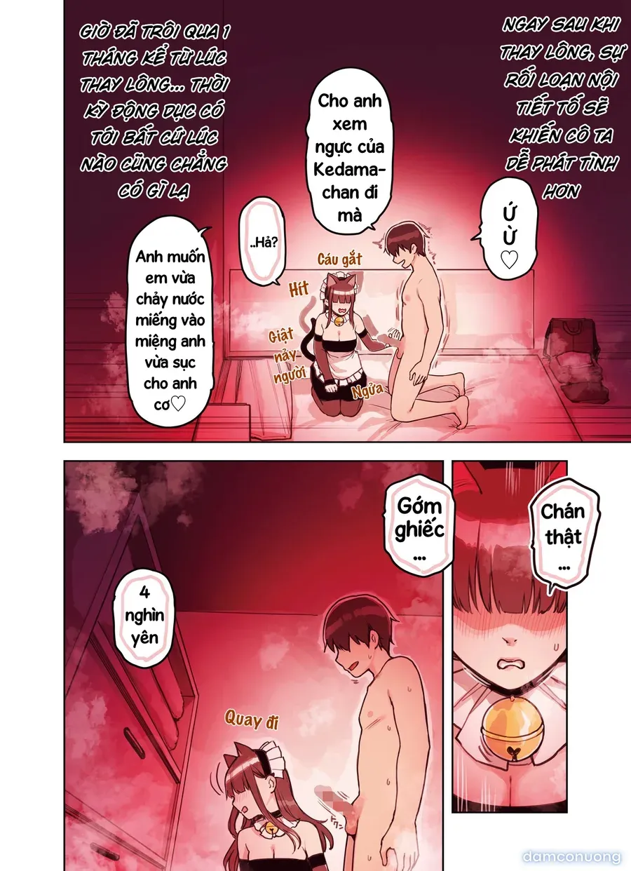 đọc truyện Những Cô Gái Ở Quán Maid Refre Tai Thú Chương 2 ảnh 8 tại Thiên Thai Truyện