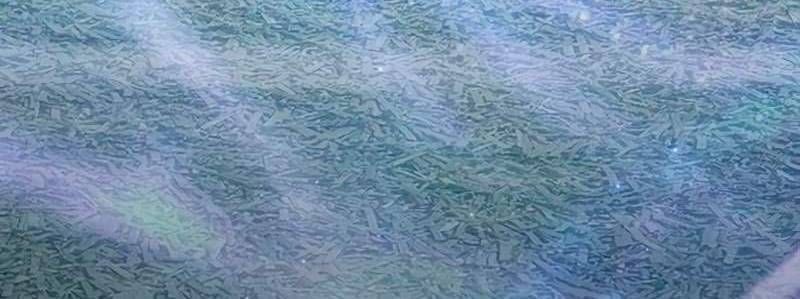 đọc truyện Những Ranker Cấp S Mà Tôi Nuôi Dưỡng Chương 146 ảnh 42 tại Thiên Thai Truyện