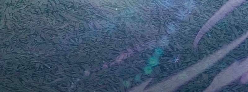 đọc truyện Những Ranker Cấp S Mà Tôi Nuôi Dưỡng Chương 146 ảnh 43 tại Thiên Thai Truyện