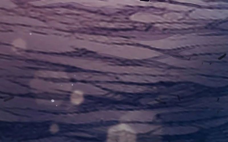 đọc truyện Những Ranker Cấp S Mà Tôi Nuôi Dưỡng Chương 151 ảnh 180 tại Thiên Thai Truyện