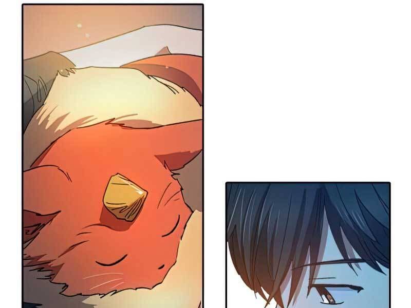 đọc truyện Những Ranker Cấp S Mà Tôi Nuôi Dưỡng Chương 39 ảnh 194 tại Thiên Thai Truyện