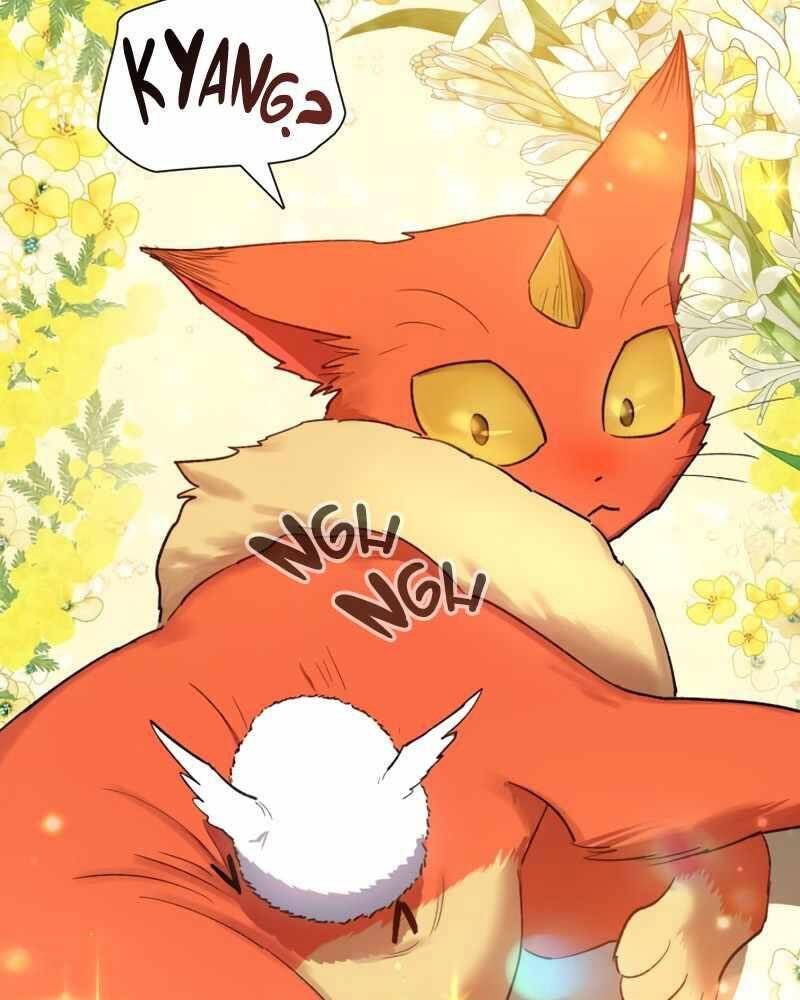 đọc truyện Những Ranker Cấp S Mà Tôi Nuôi Dưỡng Chương 51 ảnh 81 tại Thiên Thai Truyện