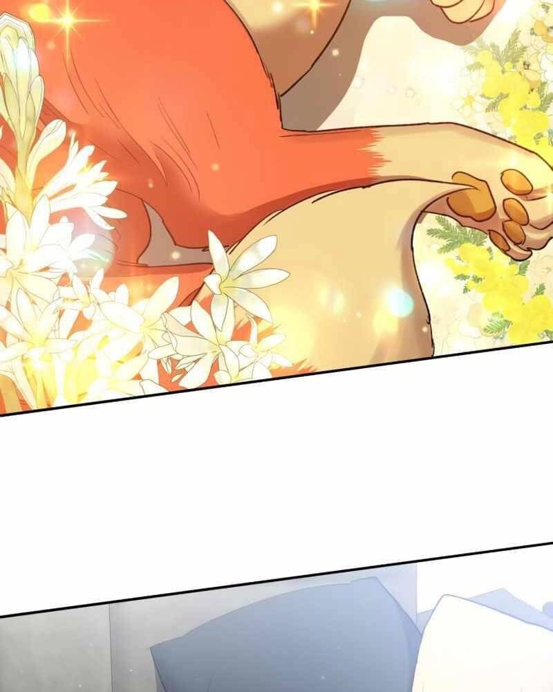 đọc truyện Những Ranker Cấp S Mà Tôi Nuôi Dưỡng Chương 51 ảnh 82 tại Thiên Thai Truyện